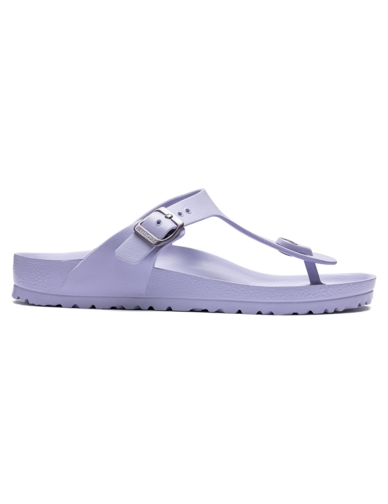 birkenstocks purple fog