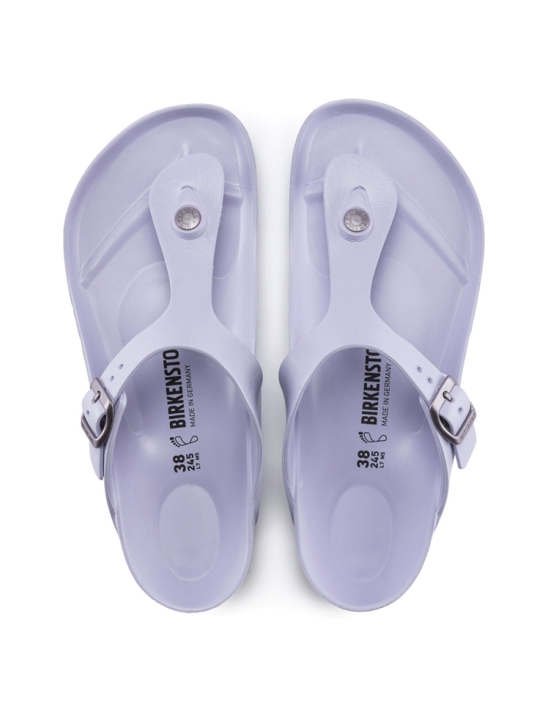 birkenstocks purple fog