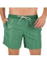 Short Masculino Praia Verde Cobalto Geométrico